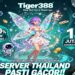 Tiger388 Slot QRIS Online Jackpot Besar Anti Rungkad